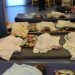 El descans dels nadons - Escola Bressol Municipal Montflorit de Cerdanyola