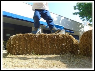 Fases del desenvolupament motriu dels infants