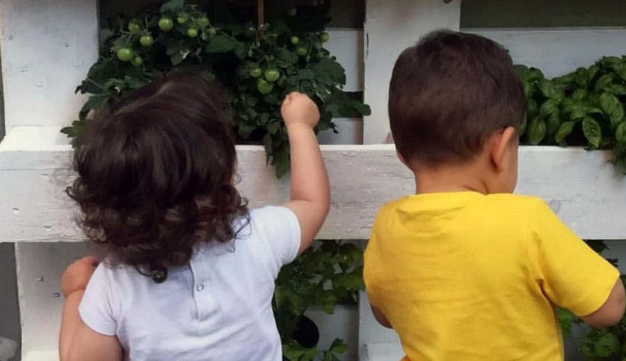 La coeducació a les escoles bressol per a infants de 0 a 3 anys