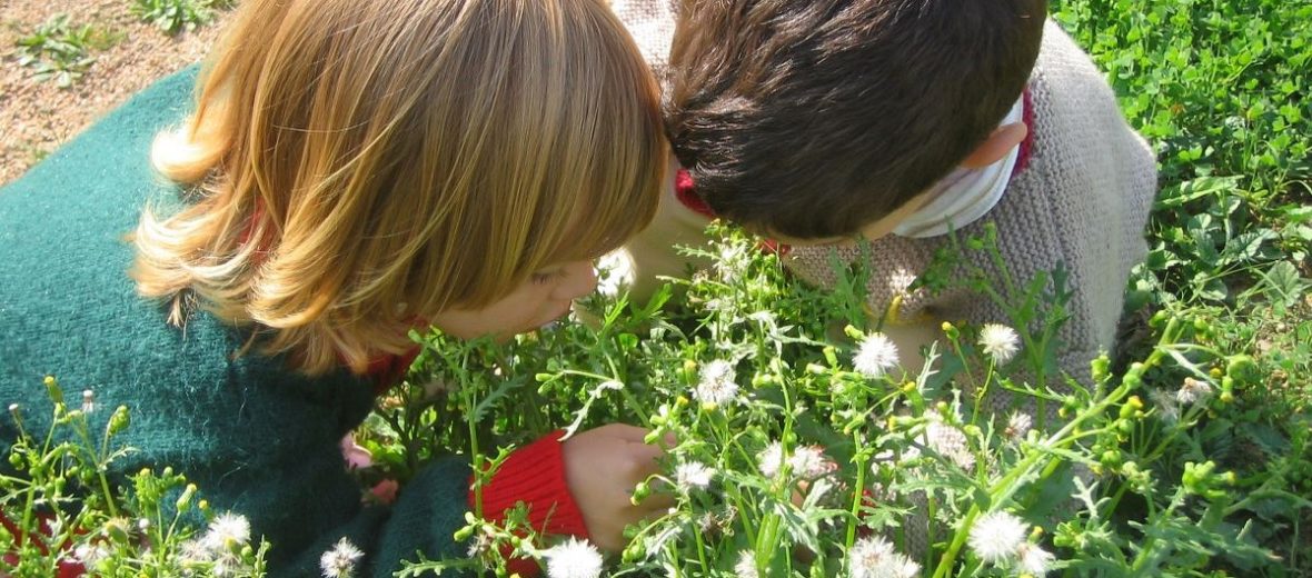 Els infants i la natura. Beneficis d’apropar-los a l’entorn natural