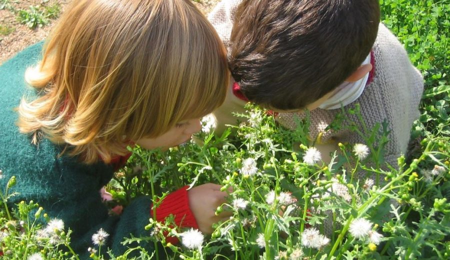 Els infants i la natura. Beneficis d’apropar-los a l’entorn natural