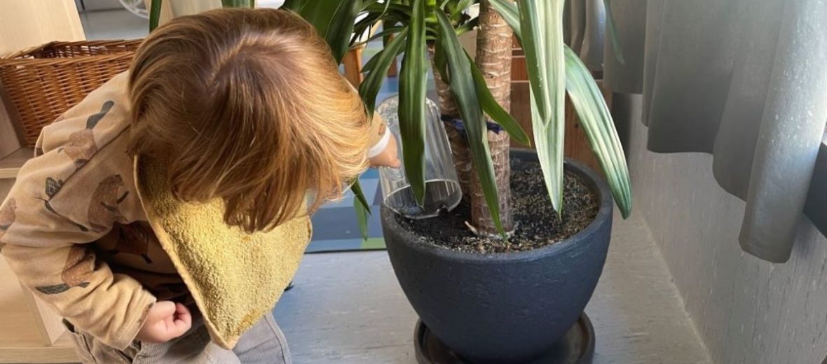 Educació ambiental a l'escola bressol - Sostenibilitat des de la primera infància