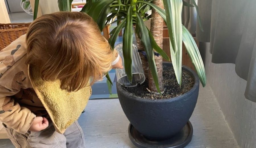 Educació ambiental a l'escola bressol - Sostenibilitat des de la primera infància