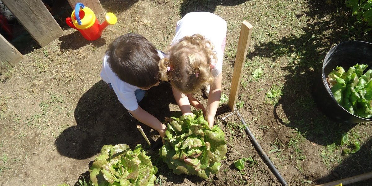 Coeducació a escoles bressol Cavall de Cartró