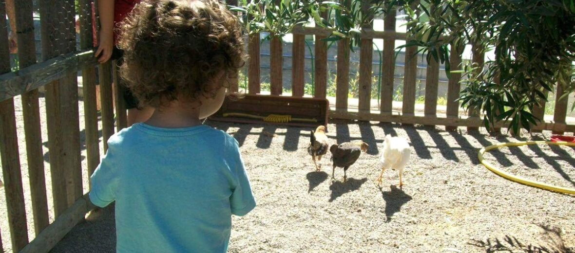 Guia per a famílies per gaudir l'estiu amb els infants