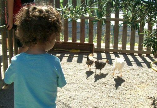 Guia per a famílies per gaudir l'estiu amb els infants