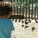 Guia per a famílies per gaudir l'estiu amb els infants