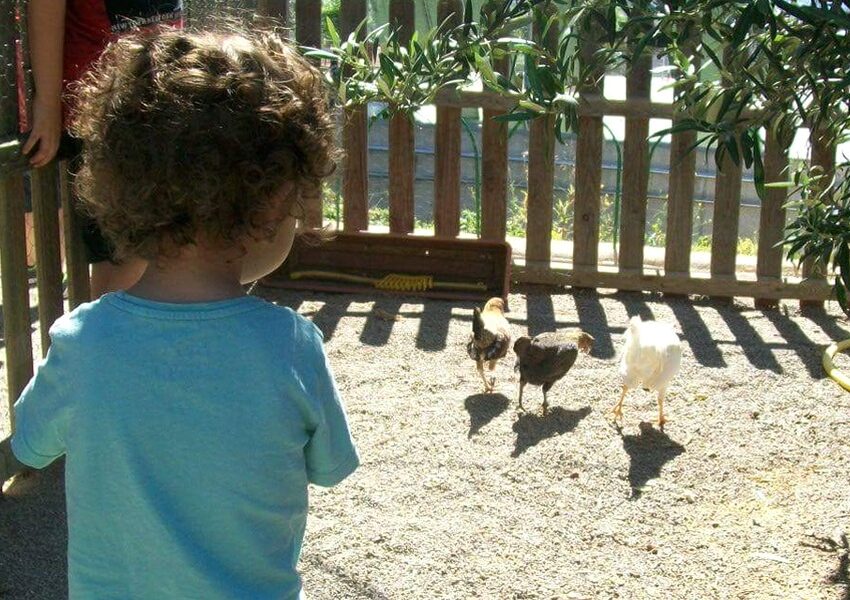 Guia per a famílies per gaudir l'estiu amb els infants