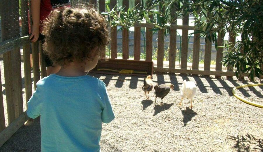 Guia per a famílies per gaudir l'estiu amb els infants